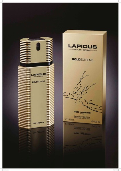 Gold Extreme EDT Spray 100 ML Erkek Parfüm