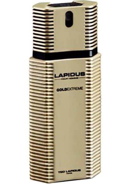 Gold Extreme EDT Spray 100 ML Erkek Parfüm
