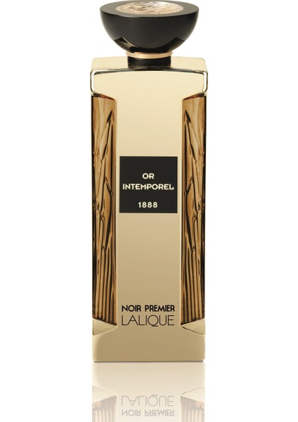 Noir Premier Or Intemporel 1888 EDP 100 ML Unisex Parfüm