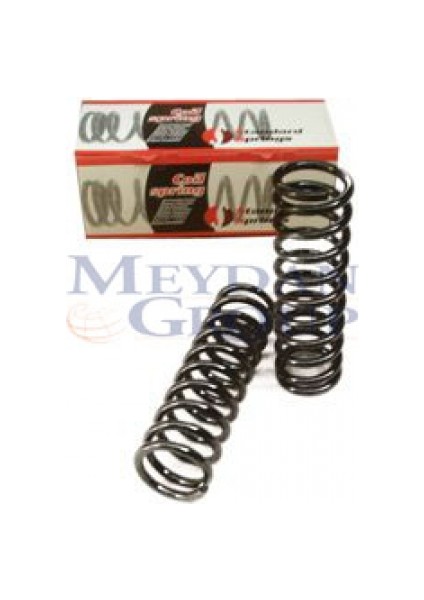 MERCEDES E CLASS- W210- 00/02 ARKA HELEZON YAYI R/L(2Lİ SET)E200/E220/E230 (14X99X334)(STDR)