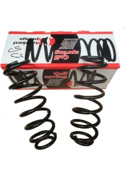 PEUGEOT 307- 06/08 ARKA HELEZON YAYI R/L (2Lİ SET)(11,75X108) (STDR)