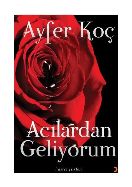 Acılardan Geliyorum: Hasret Şiirleri