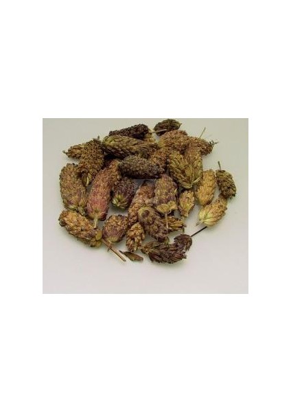 Karabaş Otu Paket 40 gr