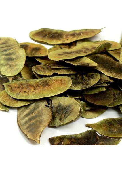 Açlık Otu 30 gr