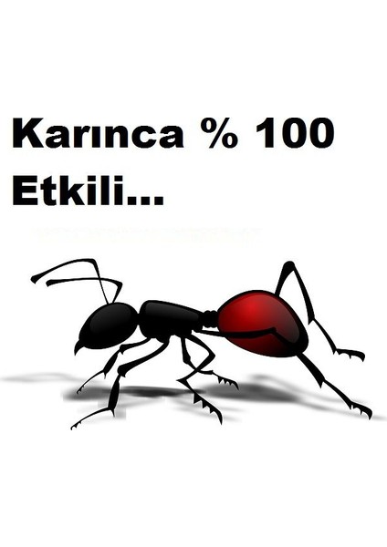 Karınca Zehiri Zinon Ew Kokulu İlaç 50 Ml