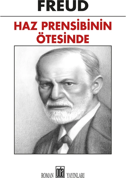 Haz Prensibinin Ötesinde