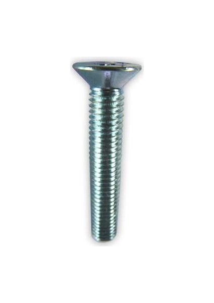 Civata Yıldız Havşa Başlı Beyaz M8x16