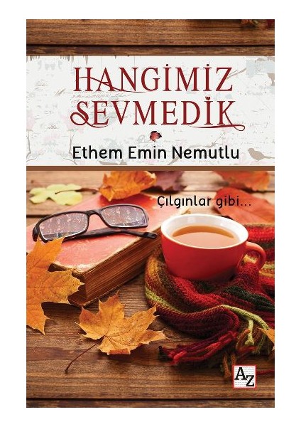 Hangimiz Sevmedik - Ethem Emin Nemutlu