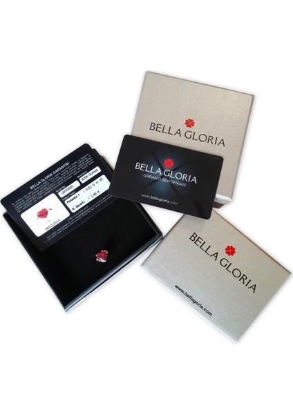 Damla Taşlı Rose Gümüş Küpe (Gp00216)