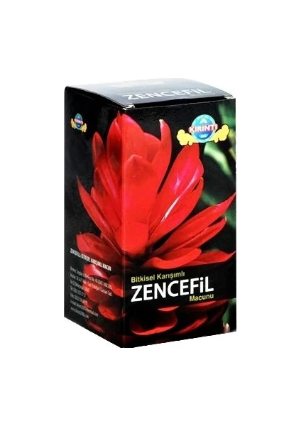 zencefilli macun 410 gr