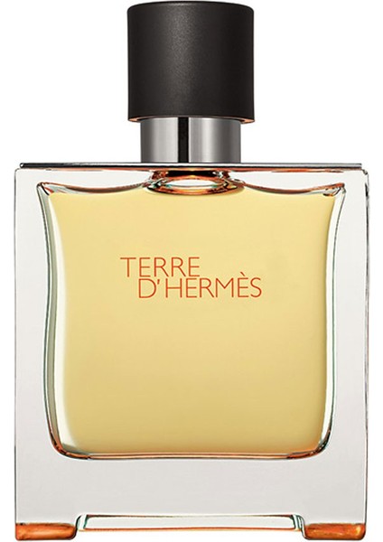 Terre D'Hermes Erkek Edp 75Ml