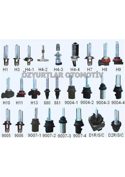 H1 8000K Xenon Far Ampulü