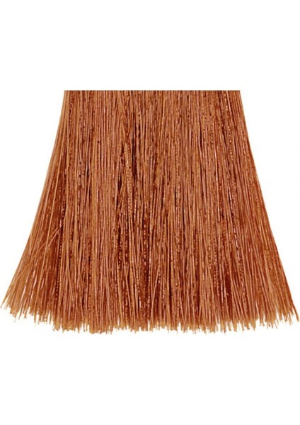 Topchic 8Kg Açık Bakır Sarı Saç Boyası 60 Ml