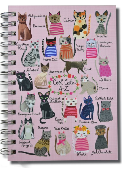 Cool Cats - 14*20