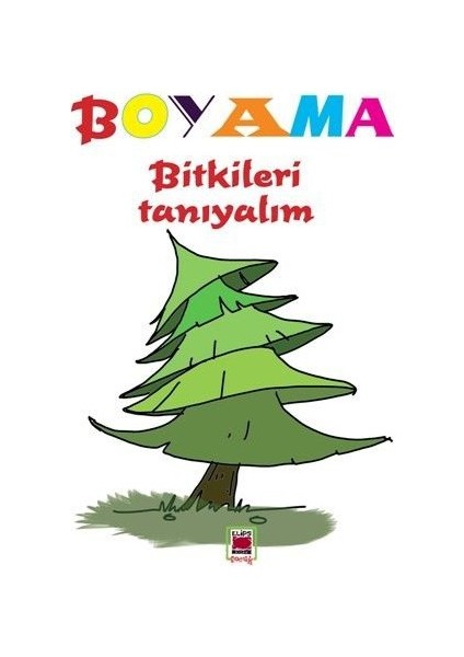 Boyama Bitkileri Tanıyalım