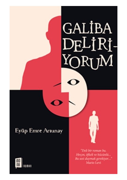 Galiba Deliriyorum - Eyüp Emre Artunay