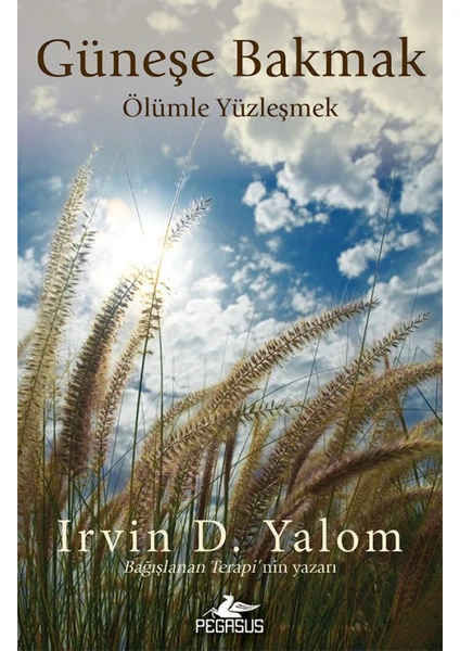 Güneşe Bakmak Ölümle Yüzleşmek - Irvin D. Yalom