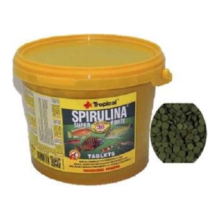 Tropical Supervit Supertabin B Tablet 50ml 200 Tablet Amerikan Chiclid Yemileri Canli Doguran Yemleri Chicled Yemleri Discus Yemleri Vatoz Ve Co