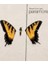 Paramore - Brand New Eyes 1