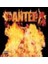 Pantera - Reınventıng The Steel 1