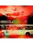 Roxette – Travelling CD 1