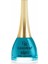 Paris Nail Lacquer No:245 1