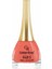 Paris Nail Lacquer No:95 1