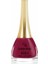 Paris Nail Lacquer No:79 1