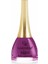 Paris Nail Lacquer No:202 1
