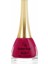Paris Nail Lacquer No:65 1