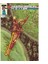 Gi Joe / Transformers Tp Vol 03 1