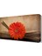 Dekoratif Kasımpatı Tablosu 45x30 cm 1