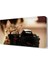 Fotoğraf Mankinasını Isıran Kedi Tablosu 45x30 cm 1