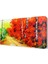 Turuncu Orman Yolu Tablosu 45x30 cm 1