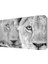 İki Aslan Tablosu 45x30 cm 1
