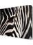 Zebra Çizgileri Canvas Tablo 30x30 cm 1