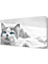 Beyaz Kedi Canvas Tablo 45x30 cm 1