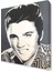 Elvis Presley Pop Art Canvas Tablo 50x50 cm 1