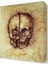 Skull Da Vinci Çizim Anatomi Canvas Tablo 120x80 cm 1