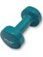 Db107 Dipping Dumbell 4 Kg Yeşil 1