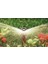 Us415 Sprey Spring (4.5 Metre) 4