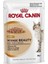 İntense Beauty Gravy Soslu Parçali Mama 85 Gr 12 li 2