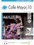 Calle Mayor, 10 +Audio Descargable (Nivel-2) B1 1