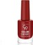 Color Expert Naıl Lacquer No:105< 1