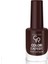 Color Expert Naıl Lacquer No:109< 1