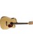 Mr710Fnat Elektro Akustik Gitar 2