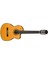 Ga6Ce-Am Elektro Klasik Gitar 2