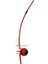 Be1R Berimbau 1