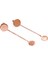 Sallantılı Yuvarlak Rose Gümüş Küpe (Gp00166) 1