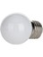 1W Led Ampul Beyaz Işık 1